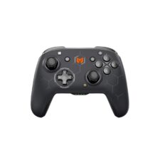 Nintendo Controller